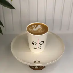 فلات وايت